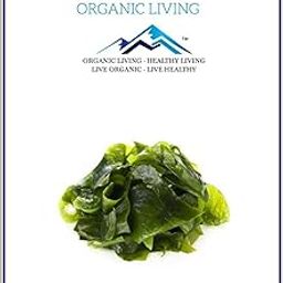 Mystique Sea Kelp Powder 50 g-image-77