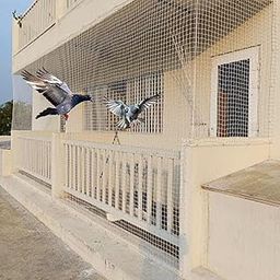 UV Stabilized HDPE Anti Bird Net/Pigeon Net/Child Protection Net Tying Ropes Attached | 10x6 Ft | Clips & Cup Hooks Installation Kit Included - White-37