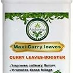 MAXI CURRY LEAVES -Root Growth Booster & Plant Enhancer for Stronger Roots&Faster Growth|Improved Flavor in Curry leaves|Liquid Supplement -growth regulator-picture-24