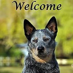 Australian Cattle Dog - Best of Breed CEFK Welcome Photo Garden Flag-image-91