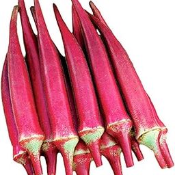 VibeX Most Popular Red Okra Seeds-200 Seeds-image-36