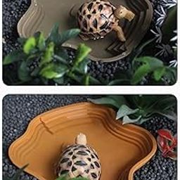 Enakshi® Reptile Bathing Pool with Ramp Tortoise Water Dish for Leopard Gecko Hamster Black S|Pet Supplies | Reptile Supplies-21