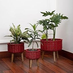 DecorTwist® Handmade Seagrass Planter (6.2" x 8.2" x 10.2" Height) Set of 3 Red Natural Plant Basket with Stand for Living Room, Balcony, Garden, Indoor Outdoor, Flower Pots Cover, Home Decor-image-43