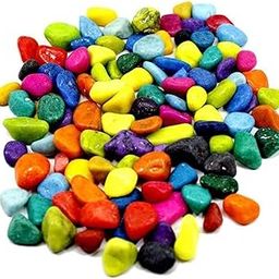 1st Time Décor Pebbles/Stone for Home Decoration, Pots, Garden, Showcase, Plant Vase, Multicolor, WT. 450 gm- S83-image-4