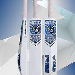 Wild Heavy Duty Premium Plastic Cricket Bat for All Age Groups-Kids/Girls/Boys/Girls/Adults ((Full Size (34"X 4.5" White), Wild Blue Sticker & White Grip)-image-89