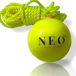 Heavy Plastic Cricket Ball for Match Practice Training - 50 Grams Weight| Easy to Hang & Ideal for Indoor and Outdoor Batting Training | Standard Size Ball for Realistic Experience-image-25