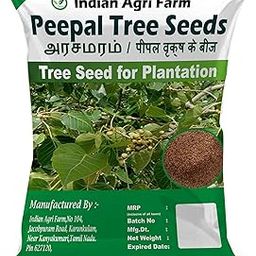 Iagrifarm Peepal Tree Seed - 100 gram/Ficus Religiosa/Arasamarm Tree Seed Approx 18000 seeds-image-55