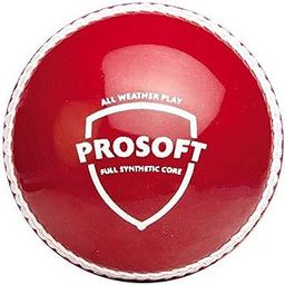 SG Rubber Prosoft Tennis Ball, Rubber, Red, 300 Grams-picture-22