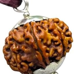 Original 12 Mukhi Rudraksha Pendant बारह मुखी नेपाली रुद्राक्ष 12 Face Nepal Rudraksha Genuine Barah Mukhi Rudraksha IGL Certified Blessed Shiva For Unisex-picture-13