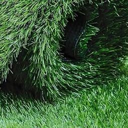 innovative edge 25 MM High Density Artificial Grass Carpet(Size: 6.5x10 Feet)-32