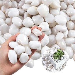 Garden Art 5/kg New Mix Polished Pebbles for Home Decor | Best for Home, Garden, Pot Plants, Fish Tank and Landscaping (White Medium, 5 KG)-image-42