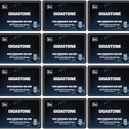 Gigastone 2TB NAS SSD Drive (12-Pack) 24/7 Durable TLC High Endurance RAID Data Storage Network Attached Storage 2.5" SATA Internal Solid State Hard Drives-22