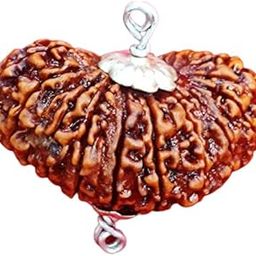 1 Mukhi to 21 Mukhi Rudraksha Original Certified Nepali Pendant Natural Brown Rudraksha IGL Lab Certified-picture-32