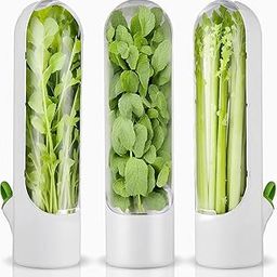 Hiva enterprise Refrigerator Storage Containers, Fresh Produce Keeper for Fridge Organization, Herb Saver Pods, Airtight Fresh Herb Humidity Control Preservation Container (Multicolor)-image-78