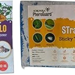 LO Leucinodes Orbonalis Lure | Brinjal Fruit & Shoot Borer Control | Pack of 5 | & | 8 x 12 cm Blue Sticky Trap Pack of 10 Sheets Garden Agriculture Control-10