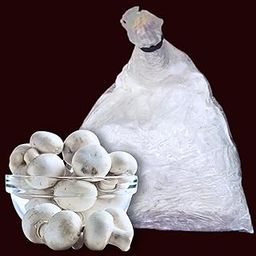 White Button Mushroom Spawn/Seed (200 gm + 2PP Grow Bags) - First Generation White Mycelium Button Mushroom Spawn for Home Garden-7