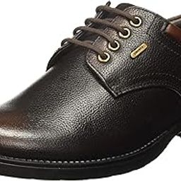 liberty Men GAS-C17 Formal Shoes-picture-37