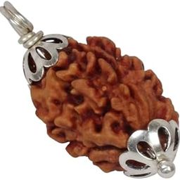 3 Mukhi Rudraksha Original Certified 3 Face Rudraksha with Capping Trimukhi Rudraksha Bless By Agni Dev 3 Mukhi Rudraksha Nepali Tin Mukhi Rudraksha 3 मुखी रुद्राक्ष 3 Mukhi Rudraksha Pendant-2
