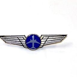 Pilot18 Blue Aircraft Uniform Wings Gold Electro-Plated Badge for Pilots-36