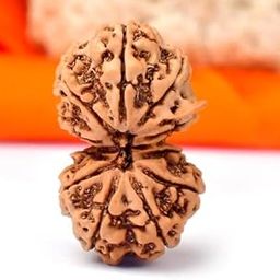 FOREVER Gems Astrological 9 Mukhi Gauri Shankar Rudraksha Original Certified Precious Nepali Gaurishankar Rudraksh गौरी शंकर रुद्राक्ष AA++ Shiv Parvati Ruthratcham for Men & Women-picture-16