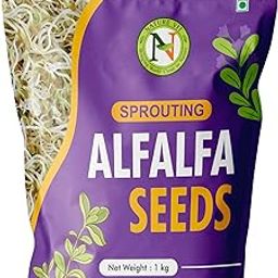 NatureVit Alfalfa Seeds for Sprouting, 1 Kg (Alfa Alfa Seeds)-image-81
