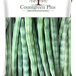 Countgreen Plus Organic Moringa Oleifera/Drumstick (Sehjan Ki Fali) Vegetable Seeds Pack of 20 Seeds-image-34