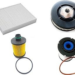 Gopinath Autolink 4pcs Filter Set: AC, Oil, Diesel, Cam Filters for Beat Diesel Car-26