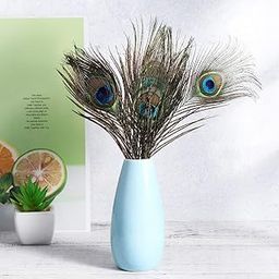 ASTRELLA Pack of 15 Decorative Feathers (30 cm Peacock Feather)-image-52