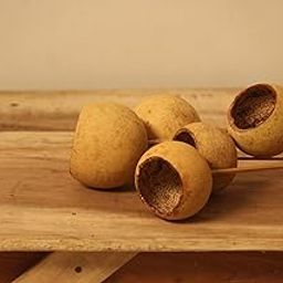Vanchai Natural Dried Pine Cones 4 Pieces Pinecone On Sticks / stem - 6 Inch Pinecones with 12" Stick for Home, Party, Office, Table , Vase Fillers (Palm Cup - Pack of 4)-image-39