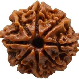 Original/Nepali Rudraksha Bead - A Symbol of Divine Power | Lab Certified |-image-52