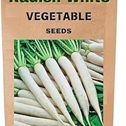 Ekaaksh - Radish White Long Seeds + Free Seed Germination Paper + Planting Guide - New Seeds with Test Result - Best for Pots, Terrace & Kitchen Gardening-image-92
