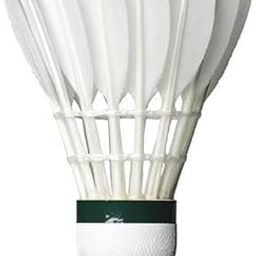 Ayat Shuttlecock Pack of 10 Feather Badminton Shuttle Cock (Colour - White)-image-60