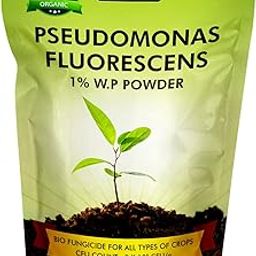 Pseudomonas Fluorescens Powder (2x10^8 CFU/g) 1 kg for Seeds and Garden Plants - Against Root/Stem Rot, Wilt Fungal Dieases-19