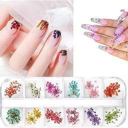1 Box Dried Flowers for Nail Art, D.B.Z. 12 Colors Dry Flowers Mini Real Natural Flowers Nail Art Supplies 3D Applique Nail Decoration Sticker for Tips Manicure Décor (Gypsophila)-image-12