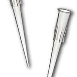 Labcon - Refillable Racks for Eclipse 10-250 uL Refill Tips, Autoclavable - 30128-368 (VWR Comparable)-image-19