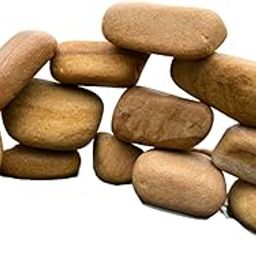 RUKDA Natural Stone Pebbles – Perfect for Aquariums, Garden Pots, Landscaping, Fish Bowls, Succulents, Terrariums, Vases, Home Decor & Creative Color Painting (4-7 cm) (Teakwood, 1 Kg)-image-18