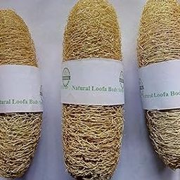 Vaibhav FOREST Natural BOTANICAL Body Scrub Loofa Rich in Antioxidants - Pack of 3-image-45