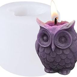 Shoppeecity Owl Shape Candle Mold I 3D Nighthawk Bird Mold I 3D Fondant Silicone Scented Wax Mould I Succulent Molds | Handmade Candles Making | for Mousse Dessert Soap Cake DIY Decorating-image-61