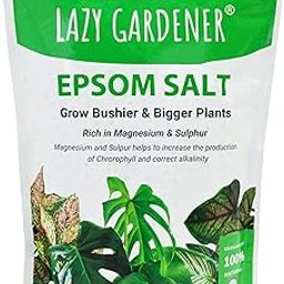 Lazy Gardener Epsom Salt | Magnesium Sulphate Organic Fertilizer for Plants| Nutrient-Rich Granules for Enhanced Growth & Health | Perfect Epsom Salt for Plants & Gardening Needs (700g)-image-4