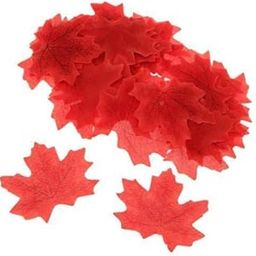 ATORSE 5x100Pcs Autumn Maple Leaf Silk Leaves Wedding Garden Decoration Red|Home & Garden|Home D?©cor|Floral D?©cor-image-28