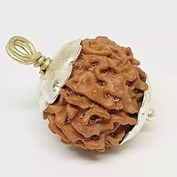 All Stone 7 Mukhi Rudraksha Original Certified Nepali Beads Saat Mukhi Rudraksh with Silver Cap Sat Mukhi Rudrakch सात मुखी रुद्राक्ष ओरिजिनल Laxmi Rudraksha Real Seven Face Rudraksha for Men & Women-image-33