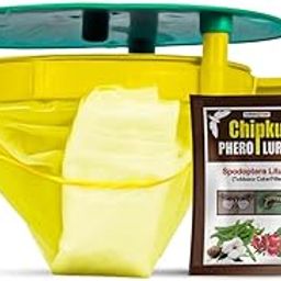 Chipku- Pheromone Trap Funnel with Spodoptera Litura Lure for Catch Insect/Moth of Tobacco Caterpillar (spodo) (Spodoptera Litura) (20)-image-92