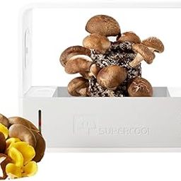 Odpaltoy Indoor Mushroom Growing kit Includes Mushroom Grow Light,Fresh air System,Temperature,Automatic humidification for Shiitake Mushrooms,Lions Mane Grow kit,Gardening Gifts-image-21