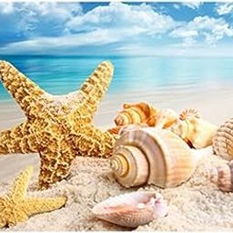 iDream Home Decoration 5D Diamond Painting Rhinestone Shell Starfish DIY Mosaic Wall Art Decor (30cm x 40cm) – Sparkling, Handmade, Elegant Interior Decoration for Living Room & Bedroom-image-26