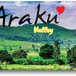 PEACOCKRIDE Love Araku Valley I Andhra Pradesh I Suvenir I Travel Memories I Fridge Magnet (Multicolor, 78mm)-image-3