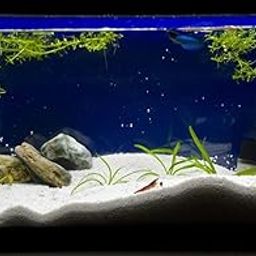 Foodie Puppies Natural Sugar Size (2.5Kg, White Sand) Gravel for Aquarium Decoration/Home & Garden/Lawn Decoration/Aquarium Substrate/Terrarium/Quartz Sand-6