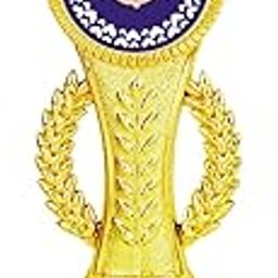 Gifts Bucket Special | Dad Trophy Special | Worlds Best Dadu Trophies Momento Award_9.75 x 3.50 x 2.50 inches-image-73