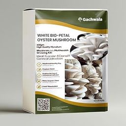 Gachwala White Big-Petal Oyster Mushroom Spawn – 400gm (2 x 200gm) + 2 PP Bags & User Manual | Mushroom Growing Kit | Mushroom Seeds | Oyster Mushroom Cultivation-17