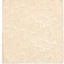 arrow Mens Paisley Pocket Squares-picture-10