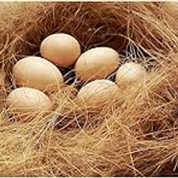 Nesting Material For Birds For Making Nest | Manually Extracted Natural Coir Fiber, Laying Eggs Breeding As Natural Bed, Playing Toy And Many More 250 Grams-picture-0